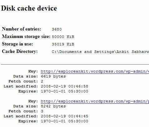 Another Firefox Addon : Cache Viewer (Save Youtube Videos, Images , Flash Animations Etc)