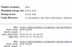 Another Firefox Addon : Cache Viewer (Save youtube videos, images , flash animations etc)
