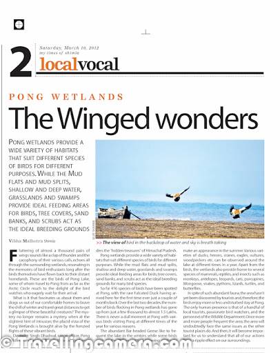 Another Photograph Published In Times Of India (Himachal Edition - 10th March, 2012)