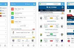 Anything for Cricket