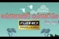 Apakariki Upakaram || Telugu Animated Story HD || Moral Stories For Kids