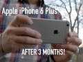 Apple IPhone 6 Plus Review! (After 3 Months)