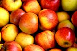 Apples are a blessing for your skin!