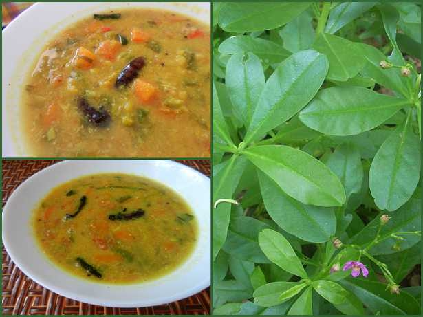 Arachuvitta Sambhar With Sambhar Cheera (waterleaf Greens/Talinum Fruticosum)