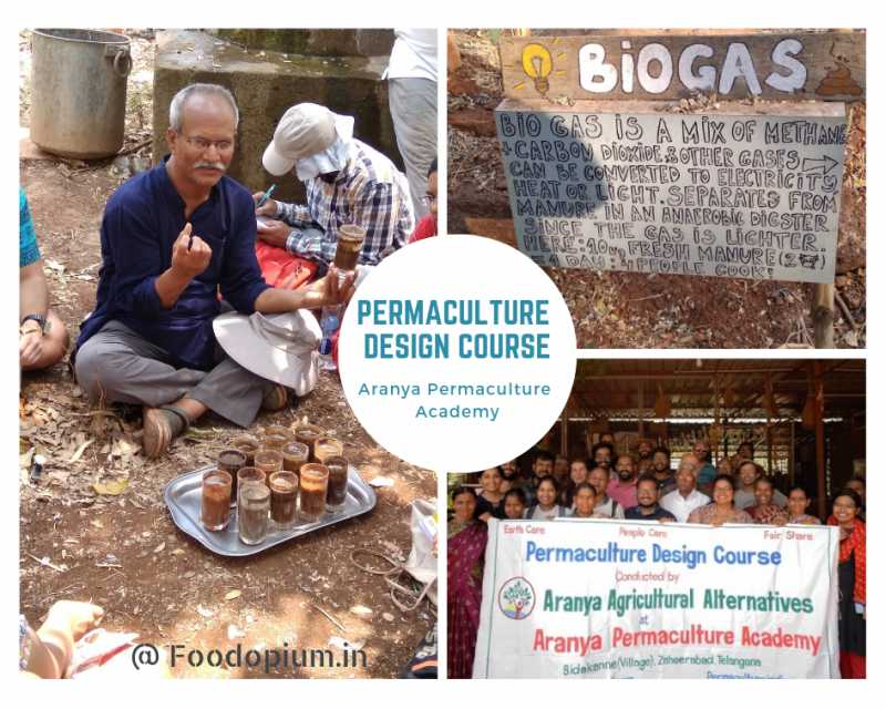 Aranya - Permaculture Design Course (PDC) - Food Opium