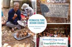 Aranya - Permaculture Design Course (PDC) - Food Opium