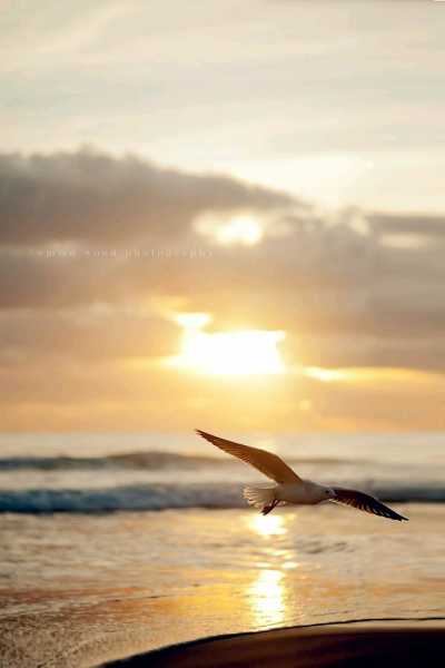 Are We Socializing Or Going Back To Isolation?