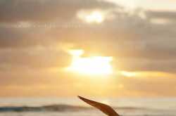 Are we socializing or going back to isolation?