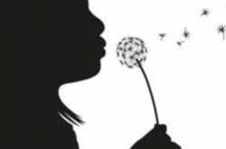 Are you voiceless ’cause you are quiet?