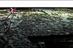 Are you watching closely?