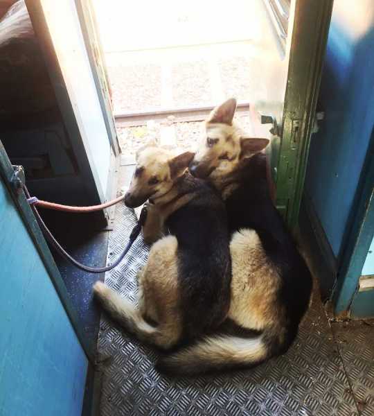 Army Train Journey Part 2: Samne Se Dheere Chalega, Dheere Chal!