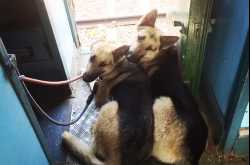 Army Train Journey Part 2: Samne se dheere chalega, dheere chal!