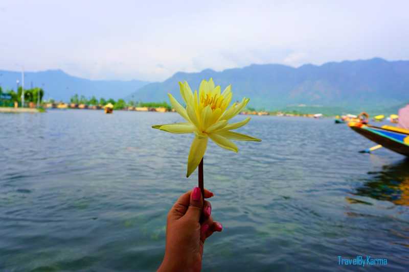 Around Srinagar In 5 Days | Kashmir Photo Blog | Travel By Karma