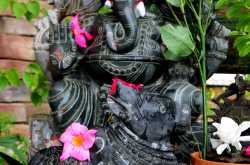 Arrival of my stone Ganesha and Nandi ~~