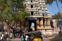 Arulmigu Thirumarainatha Swamy Thirukoil, Thirvathavoor