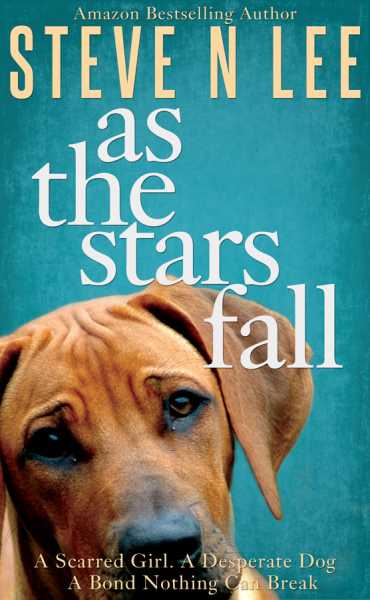 As The Stars Fall - Book Review