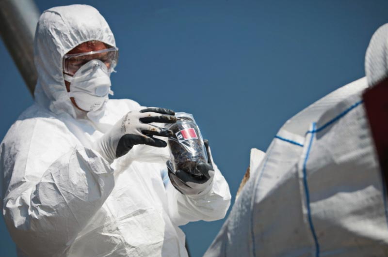 Asbestos Testing Port Macquarie And Its Vital Importance To Health