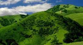 Assam: “The Land Of Diversity”