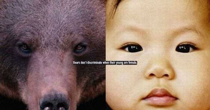 Astonishing Social Advertising Campaign By Zoo: Animals Teach Us How To Be People