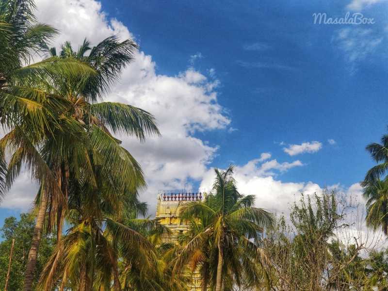 Athi Varadar Raising At Kanchipuram, Once In 40 Years Spectacle