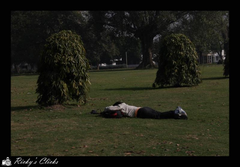 Attention: Photographer @ Work