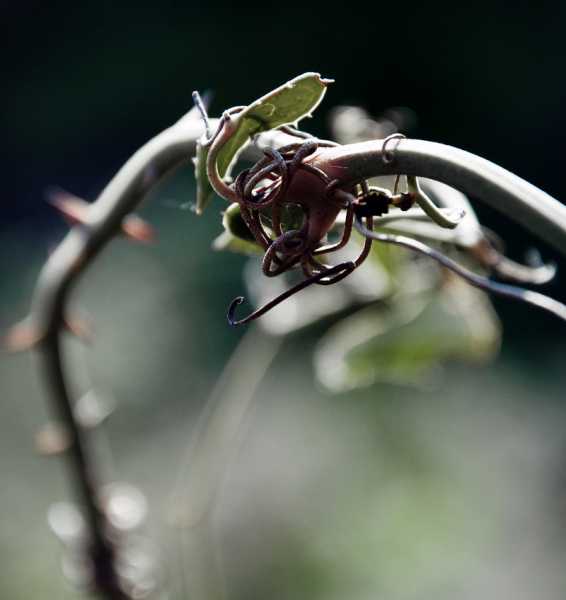 Attracted To Complexity