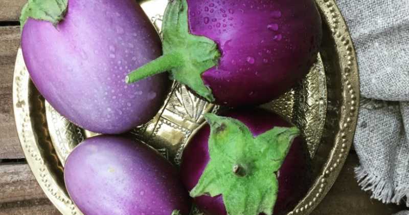 Aubergine And Yellow Tomato Curry.