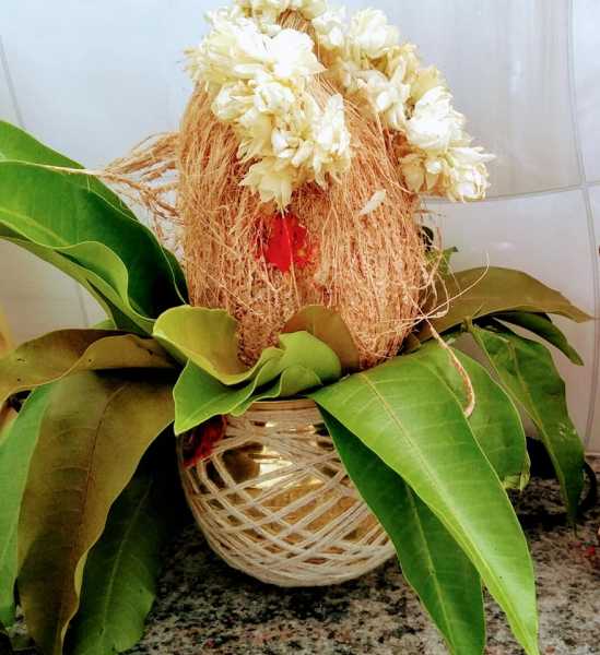 August Reflections - #GratitudeCircle : #MyFriendAlexa