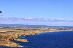 Aussie 1: Great Ocean Drive from Melbourne