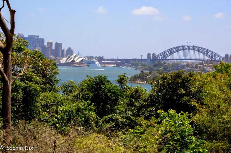 Aussie 5: Sydney Zoo, Bondi Beach And The New Year Fireworks