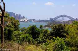 Aussie 5: Sydney Zoo, Bondi Beach and the New Year Fireworks