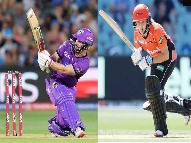 Australian Cricket Awards: Matthew Wade, Heather Graham Win Top Domestic Prize