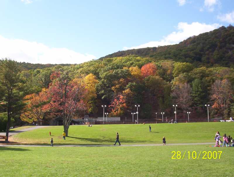 Autumn Hues - #Thursdaytreelove