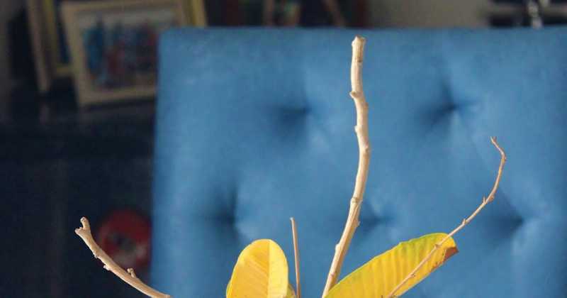 Autumn Vignette Inspiration