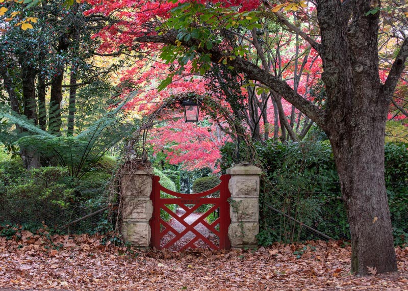 Autumn In Australia: Sydney And Surrounds - Beautiful Pictures