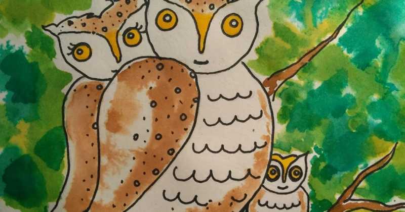 Avian Tales - Part 3