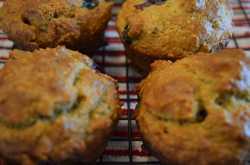 Awesome Diet Blueberry Muffins, Low Carb, Gluten Free, 21 Day Fix Approved | Girl Gloss