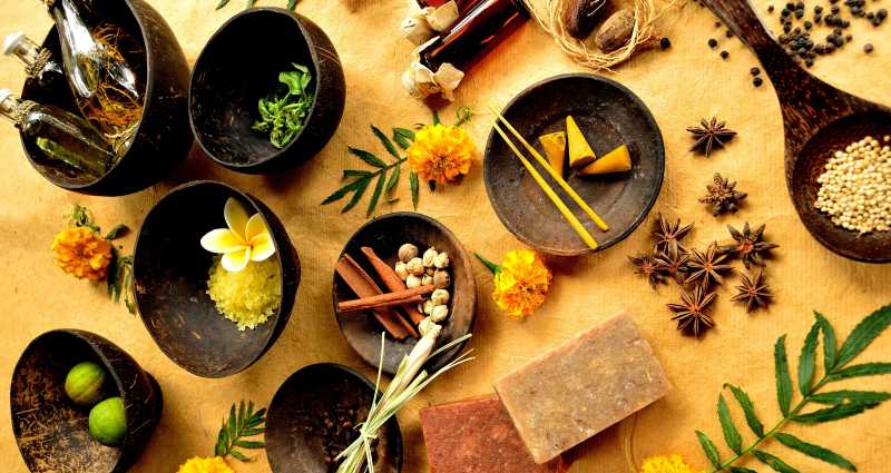 Ayurveda-Back To The Roots