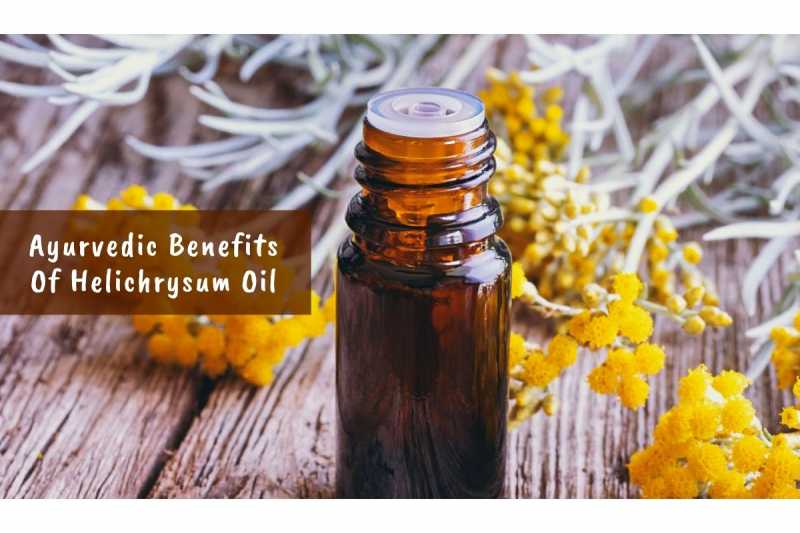Ayurvedic Benefits Of Helichrysum Oil: Powerful And Protective - Ayurvedum