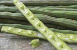 Ayurvedic Upchar : 13 Powerful Health Benefits of Moringa ( Drumstick ) & How to Use?