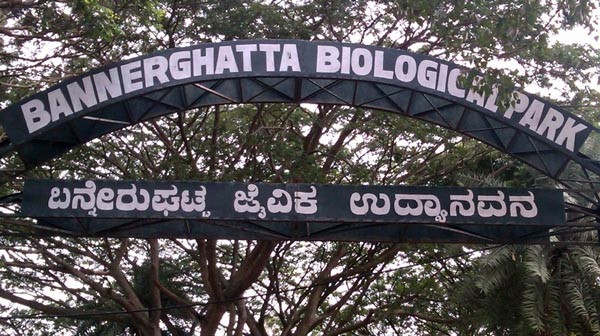 BANNERGHATTA NATIONAL PARK