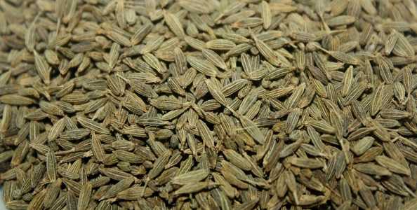 BENEFITS OF BLACK CUMIN SEED AND OIL - Gyan Share