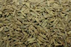 BENEFITS OF BLACK CUMIN SEED AND OIL - Gyan Share