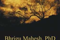 BOOK REVIEW - BHRIGU MAHESH, PHD - THE WITCH OF SENDUWAR