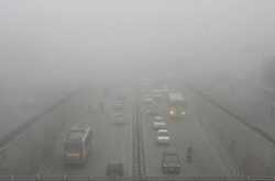 BS-III vehicle ban: The curious case of the government backing auto-makers