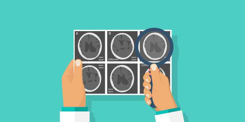 BSc Course Is Perfect For Building A Career In Science - E-BOOKSKART