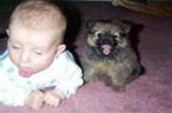 Babies Funny Pictures