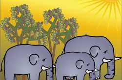 Baby Elephant makes a new friend