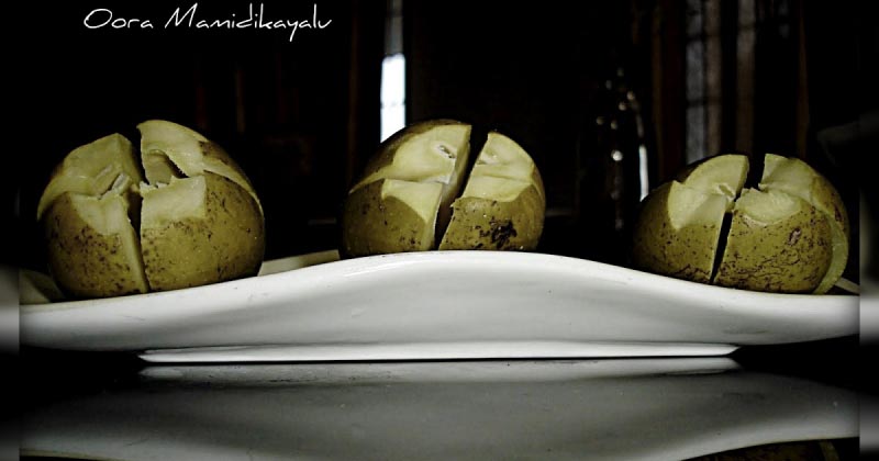 Baby Mangoes In Buttermilk Brine