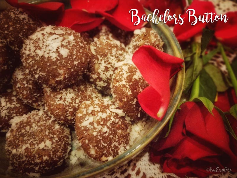 Bachelor’s Button (No-Bake Chocolate Treat)
